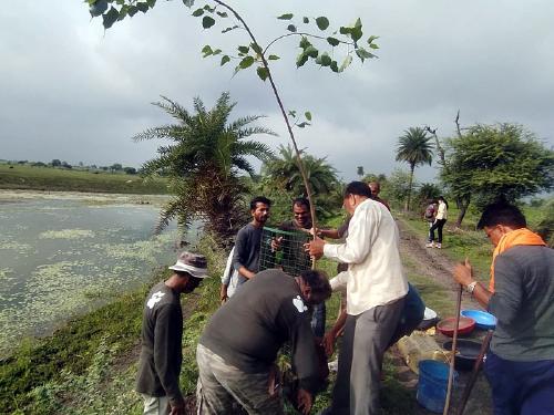Plantation at Baroda Daulat 2021