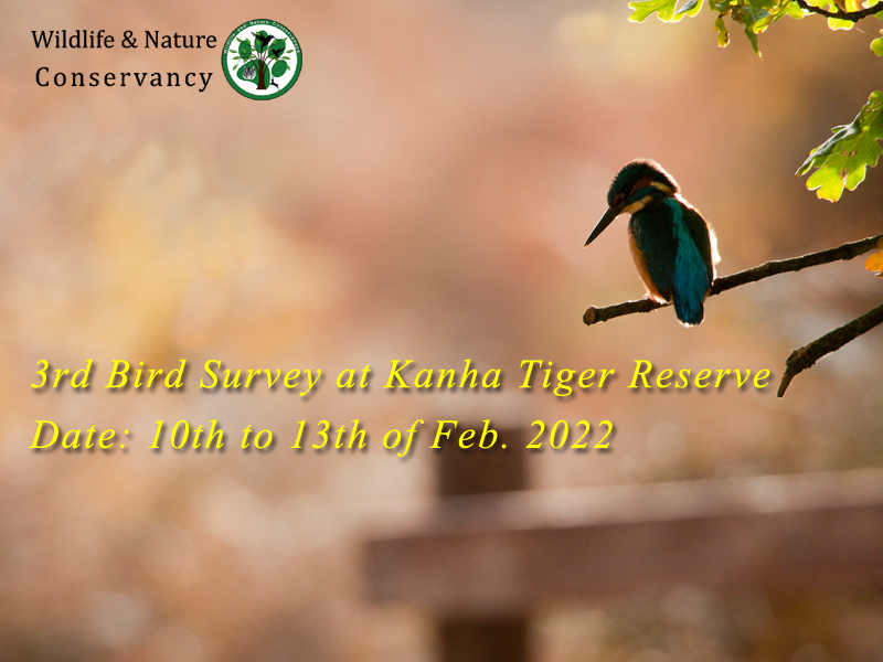 3rd bird survey at Kanha Tiger Reserve