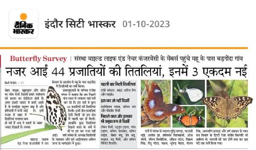 WNC Indore conducted Butterfly Survey in Badgonda