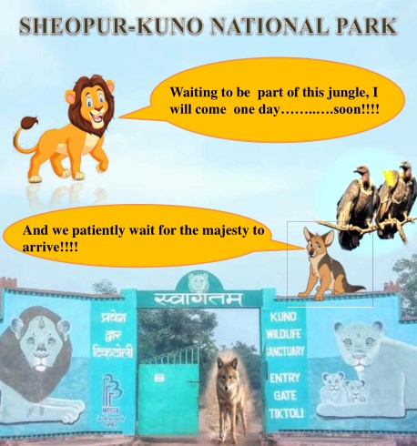 INVITATION KUNO-SHEOPUR VULTURE CUM BIRD SURVEY 26