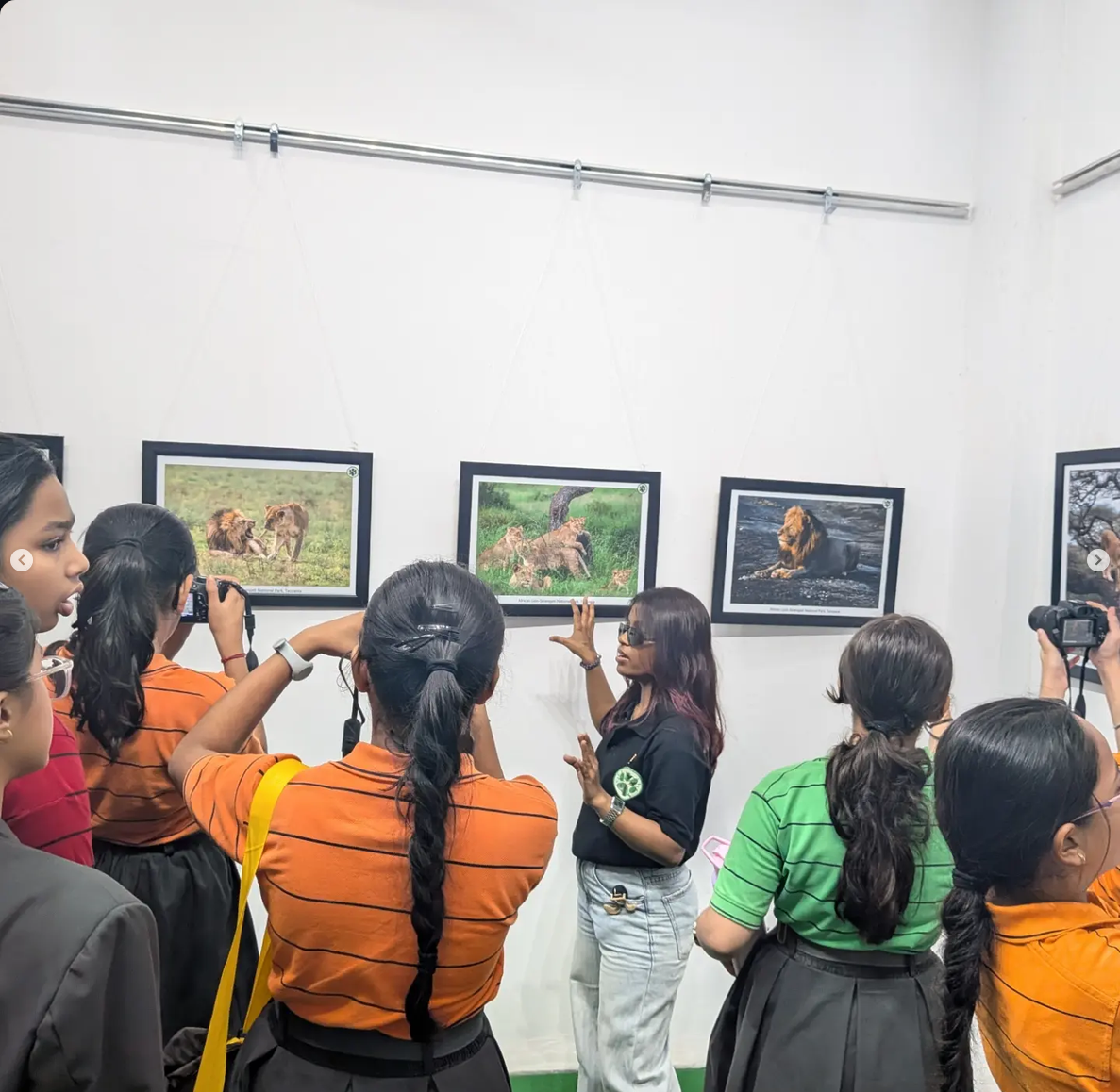Gallery photo 8