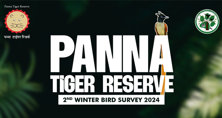 Panna Tiger Reserve - 2nd Winter Bird Survey 2024