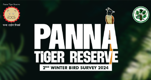 Panna Tiger Reserve - 2nd Winter Bird Survey 2024