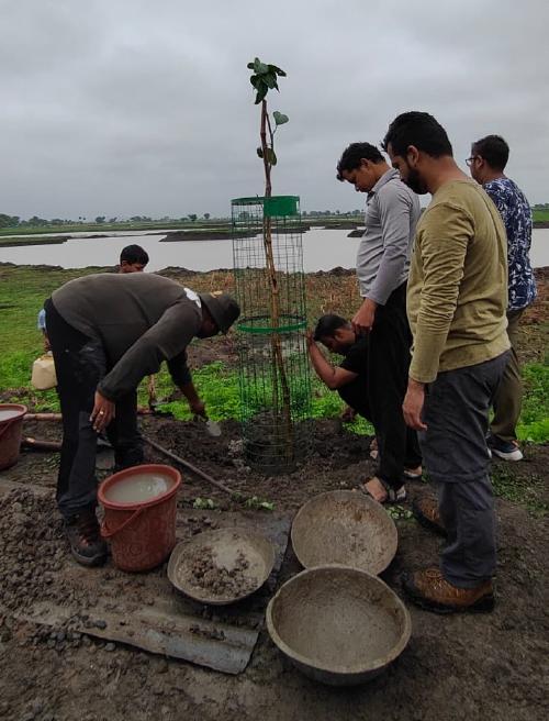 Plantation Drive at Baroda Daulat 2024