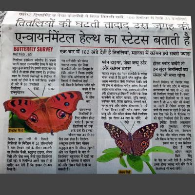 WNC Butterfly Survey